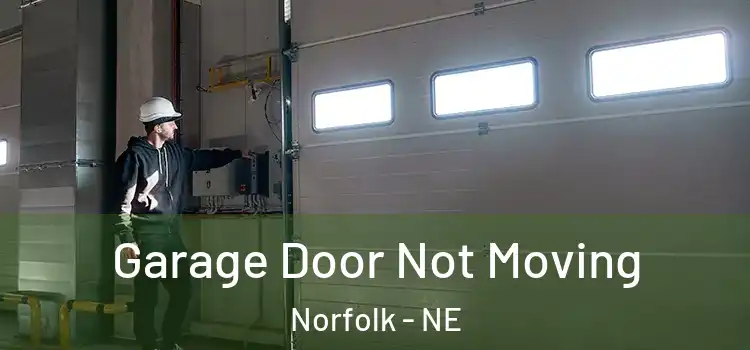  Garage Door Not Moving Norfolk - NE