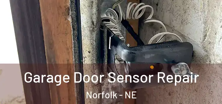 Garage Door Sensor Repair Norfolk - NE