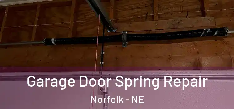  Garage Door Spring Repair Norfolk - NE