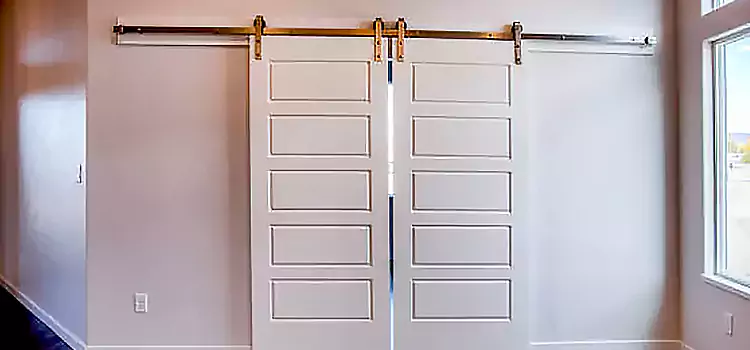 Glass Barn Door with Installation Hardware Kit Norfolk
