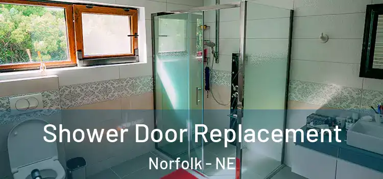  Shower Door Replacement Norfolk - NE