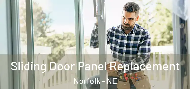  Sliding Door Panel Replacement Norfolk - NE